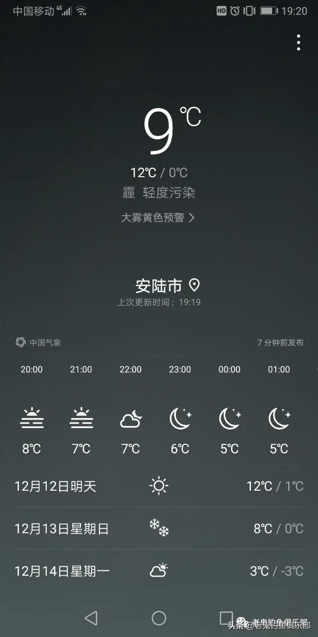 九一八野战篇饵料适合钓什么鱼,野钓九一八