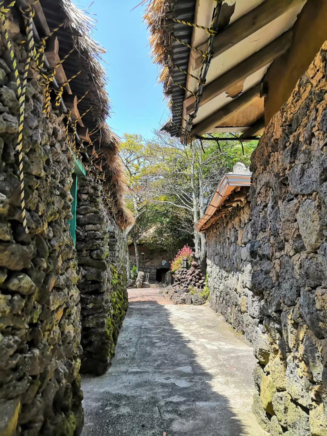 在济州岛发呆的日子,济州岛散心