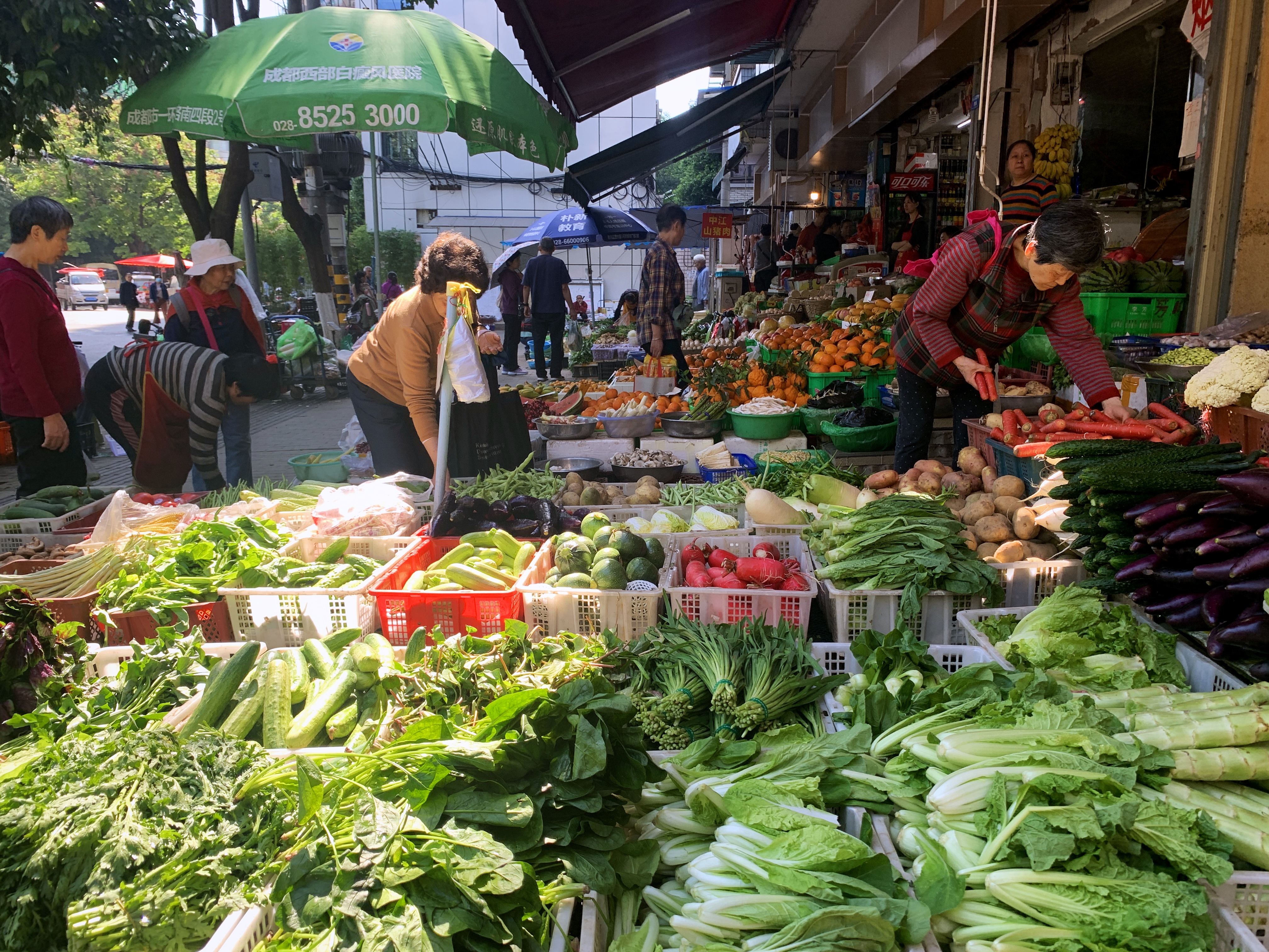 2021幸福感城市成都,最幸福感城市排名成都第一
