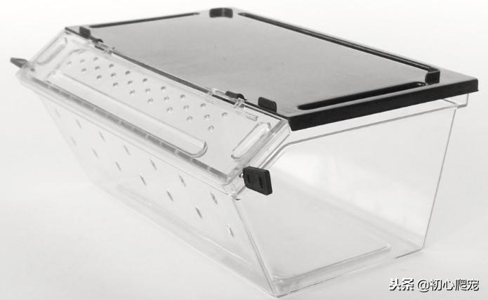 豹纹守宫省钱小技巧,好用的豹纹守宫上手攻略