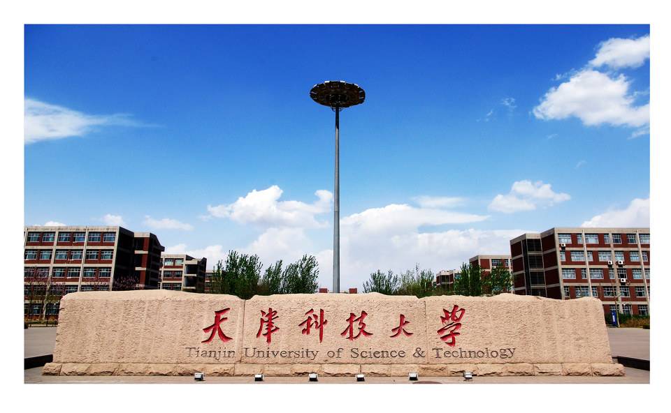天津大学的外号是什么,天津大学简称为什么不叫津大
