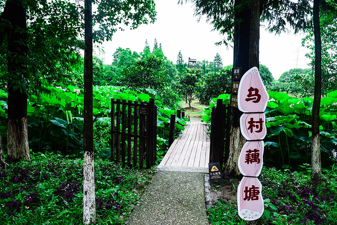 乌村暑期夏令营，吃喝玩乐在这里