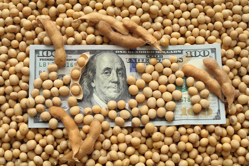 美豆一直涨的原因,运费大涨