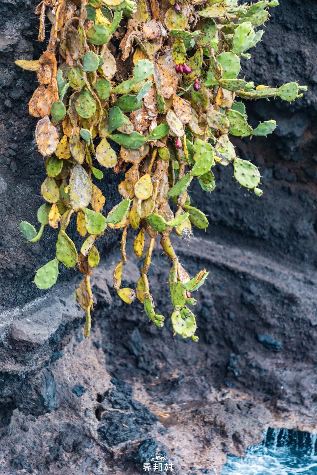广西最坑人景区涠洲岛,春节真实坑人的涠洲岛