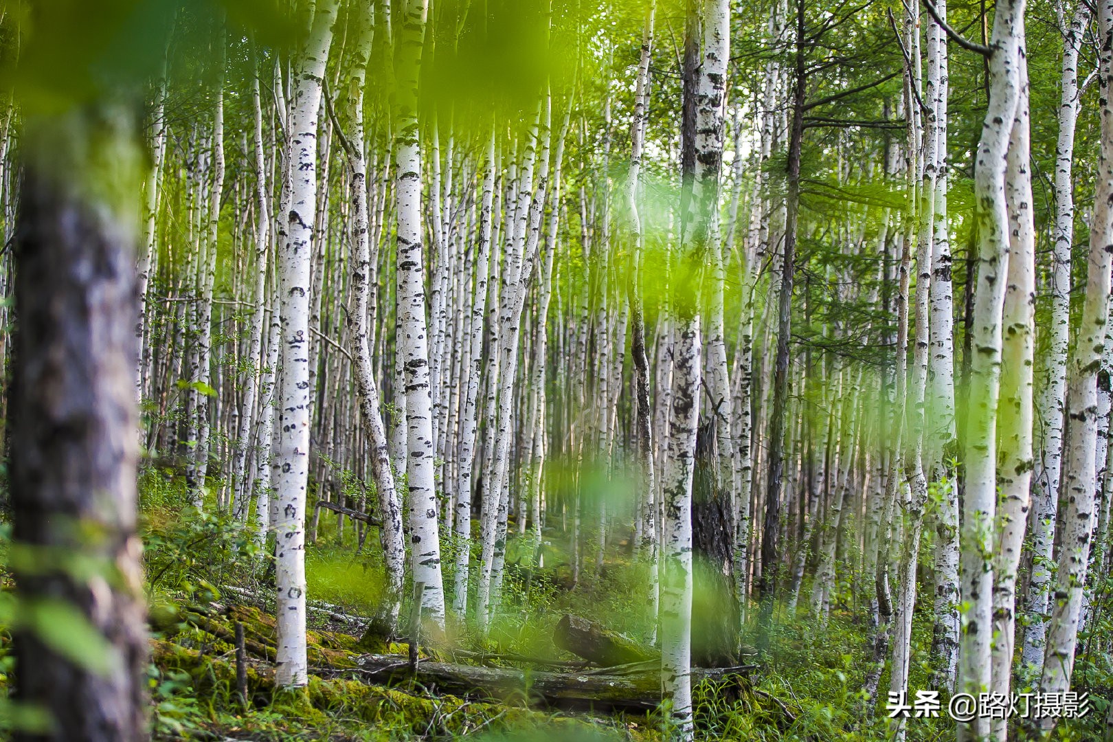 夏天最凉爽的5个避暑城市,夏天凉快又好玩的旅游景点