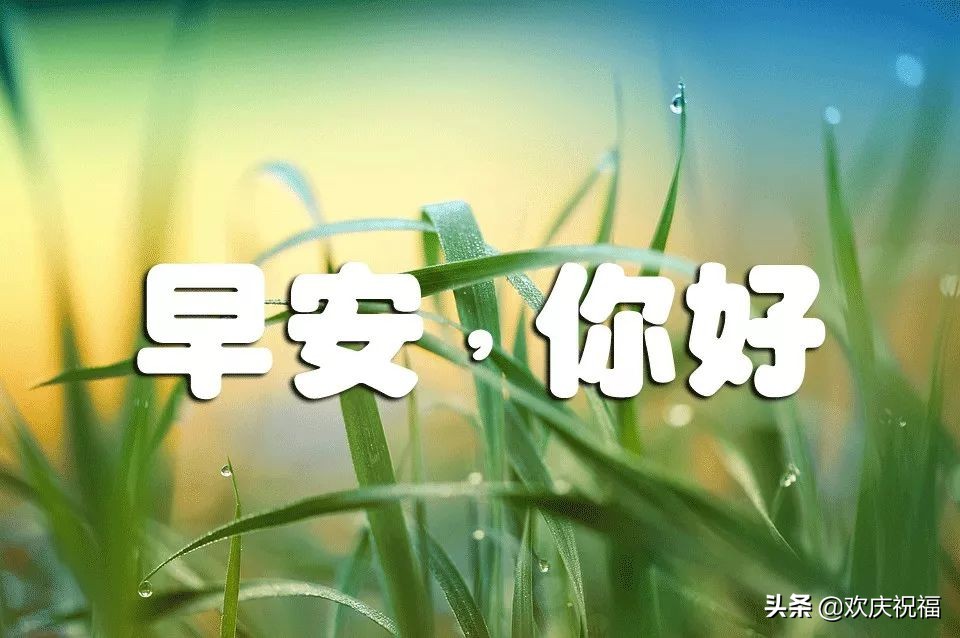 特别漂亮的早上好图片清晨问候语,早上好清晨的问候祝福语漂亮图片