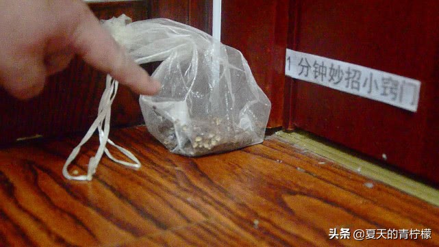 家里有蚂蚁不用买蚂蚁药怎么处理,家里有蚂蚁别再用开水烫了