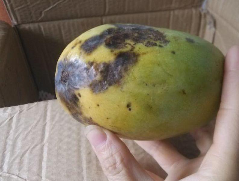 食物发霉削掉还可以再吃吗,食物发霉后切到发霉地方能吃吗