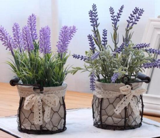 薰衣草扦插繁殖方法和时间,正确的薰衣草的扦插方法是什么