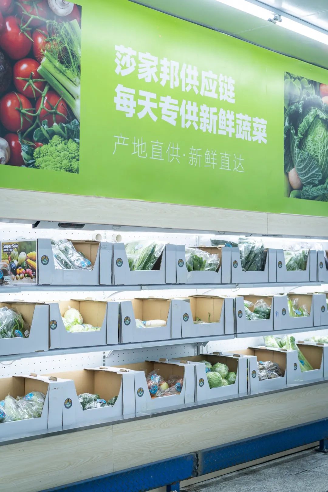 便宜死了!天津这家1500㎡宝藏市场,1毛钱就能买颗大白菜?