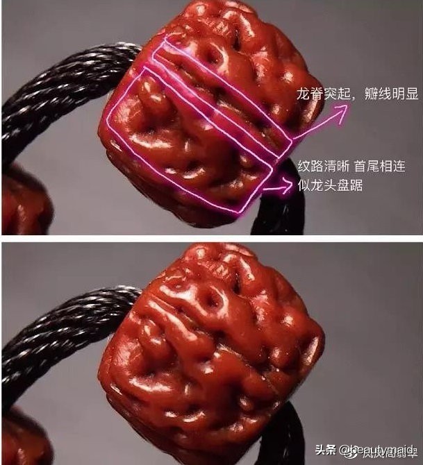 树王金刚原籽长啥样,老树王小金刚什么皮色的好