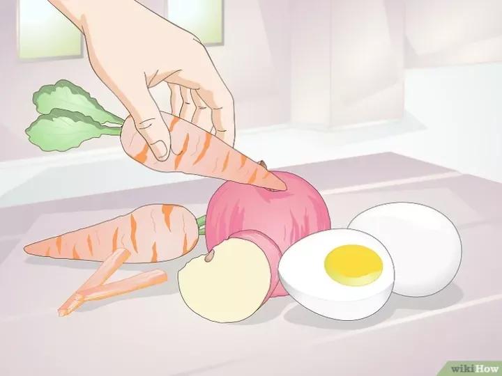 外国虎皮鹦鹉喂养视频,两个月的虎皮鹦鹉喂养