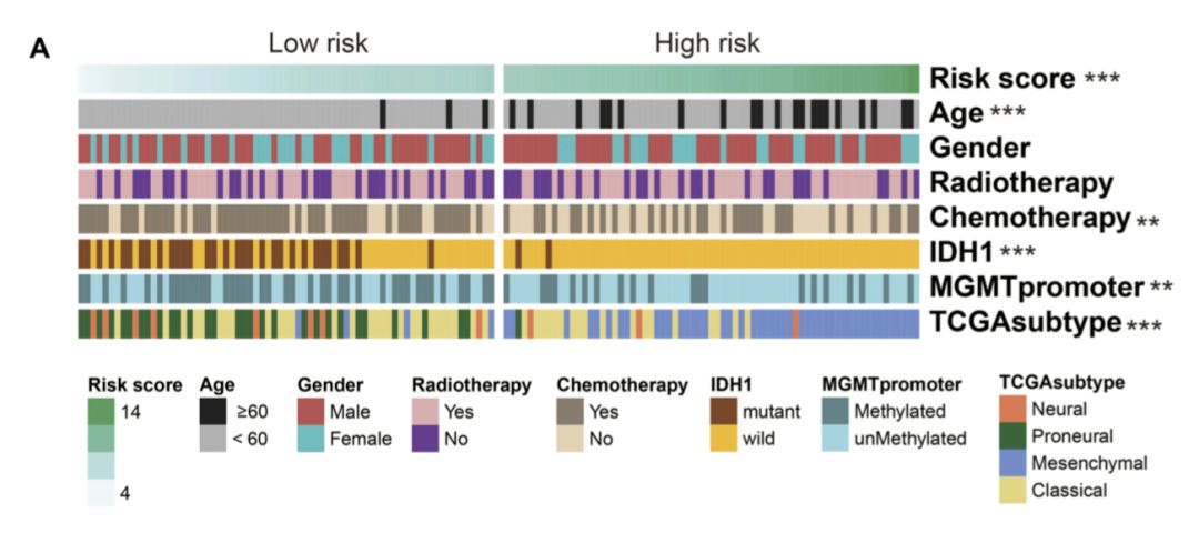 博士毕业神器3+分纯生信杂志：平均一审只要一个月，年刊量1000+