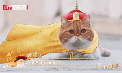 过去老师拖着我去的博物馆，现在成了我的买买买胜地？