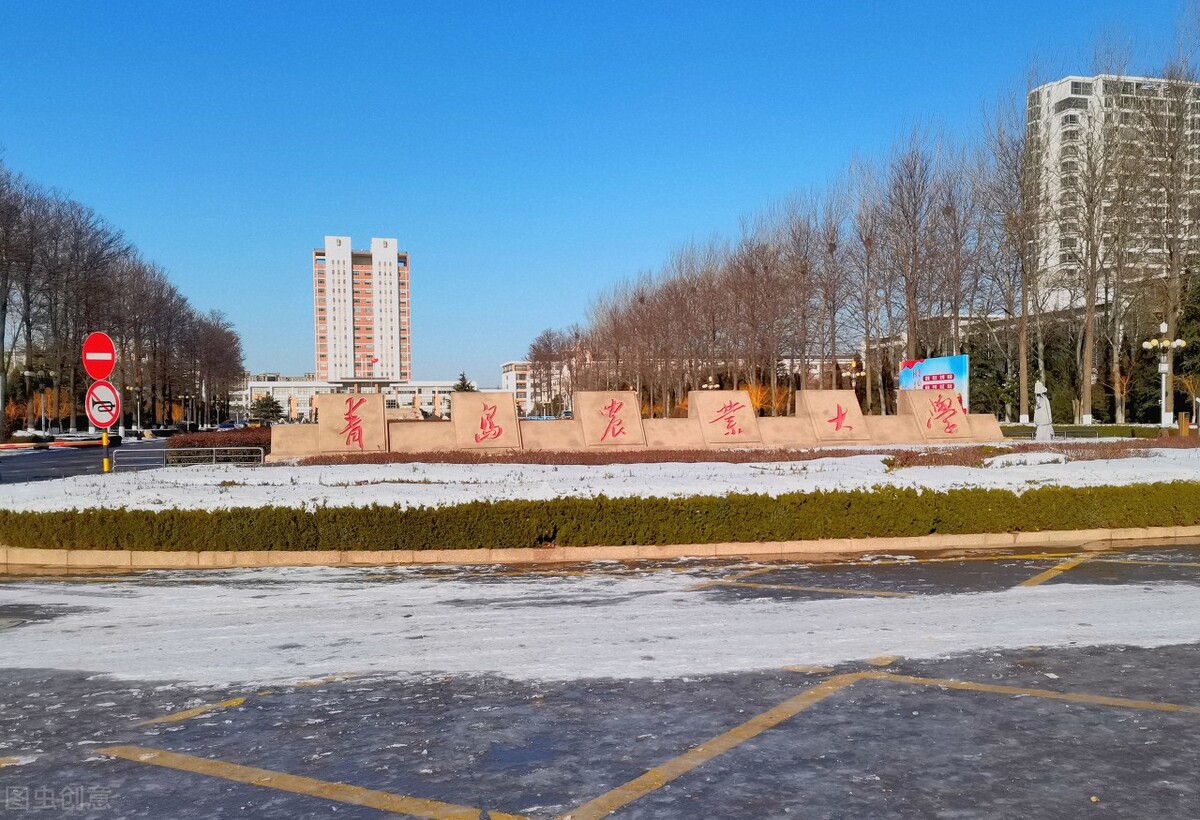 青岛大学山东省排名多少可以录取,青岛大学在山东排名多少名能录取