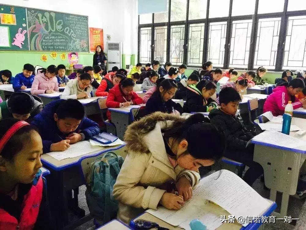 武汉37届楚才杯作文竞赛2021题目,湖北楚才杯作文竞赛含金量