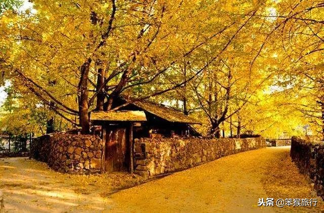 中国即将开通的超级高铁,中国最美高铁旅游线路排名