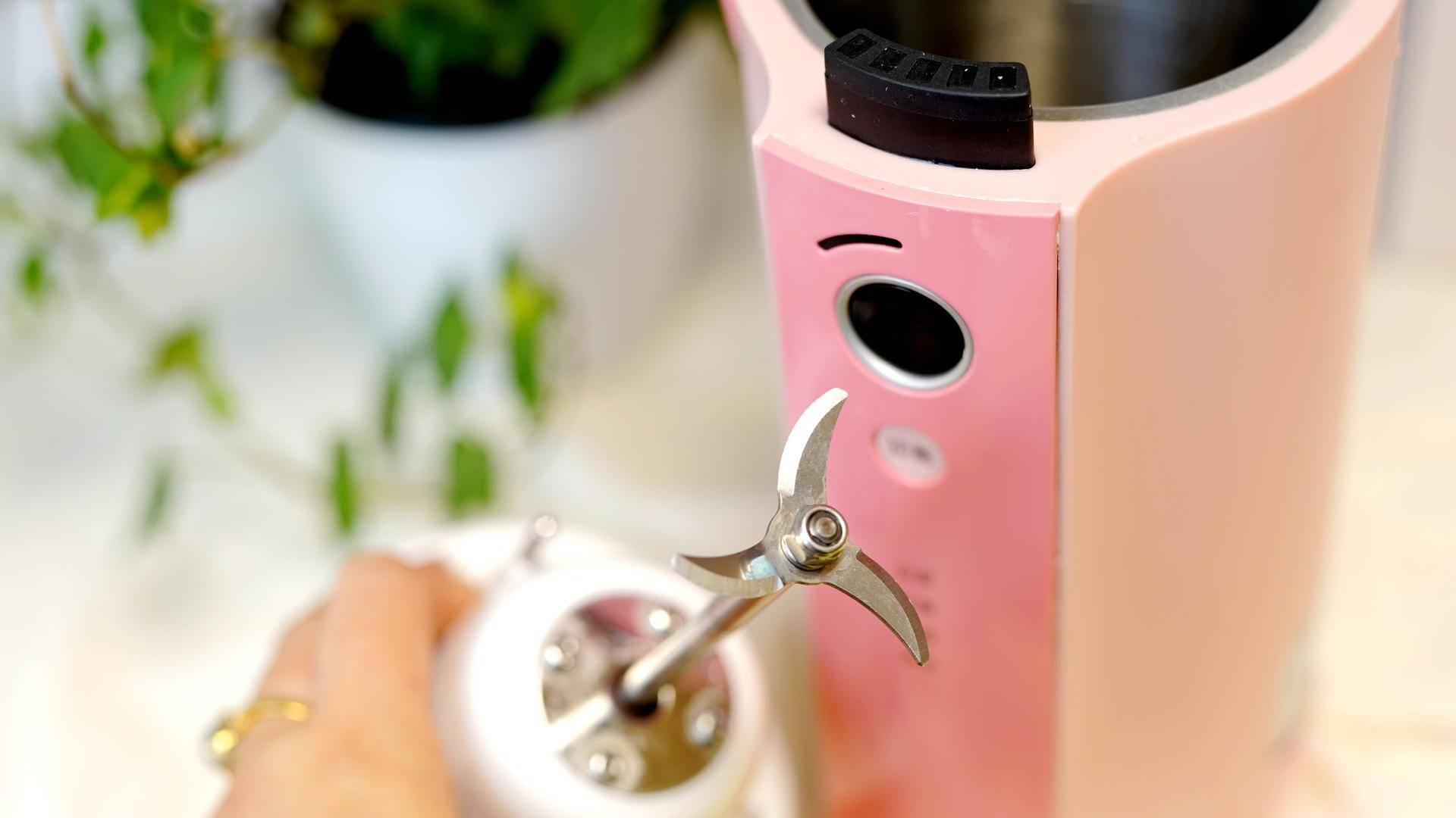 豆浆机食谱大全一人份,食谱分享快手菜