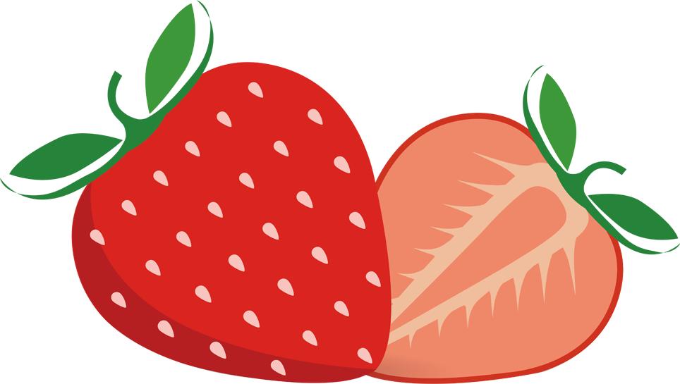 龙凤新天地｜松山棉店兰精莫代尔儿童系列—宝宝们的贴身“小空调”