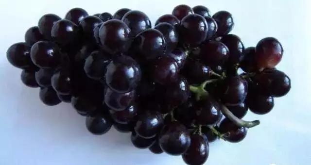 73岁人大代表研发洗衣神器，十年油汗渍霉菌，异味顽垢，轻松泡走