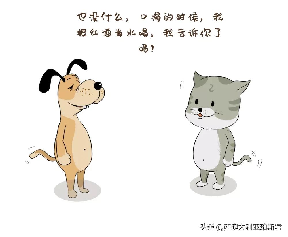 这个梗火爆全网？既然提到privilege，那就说说西澳人的高傲在哪