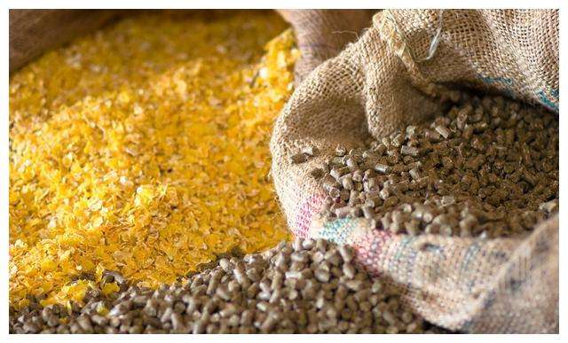 如何辨别饲料质量好坏,大台农饲料质量怎样