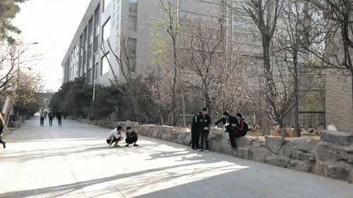 上蓝翔技校有哪些条件,我在蓝翔技校的亲身经历