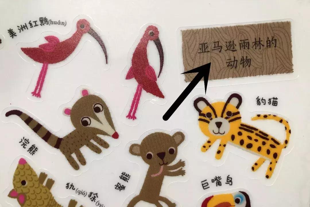 贴纸图册,场景贴纸图片大全