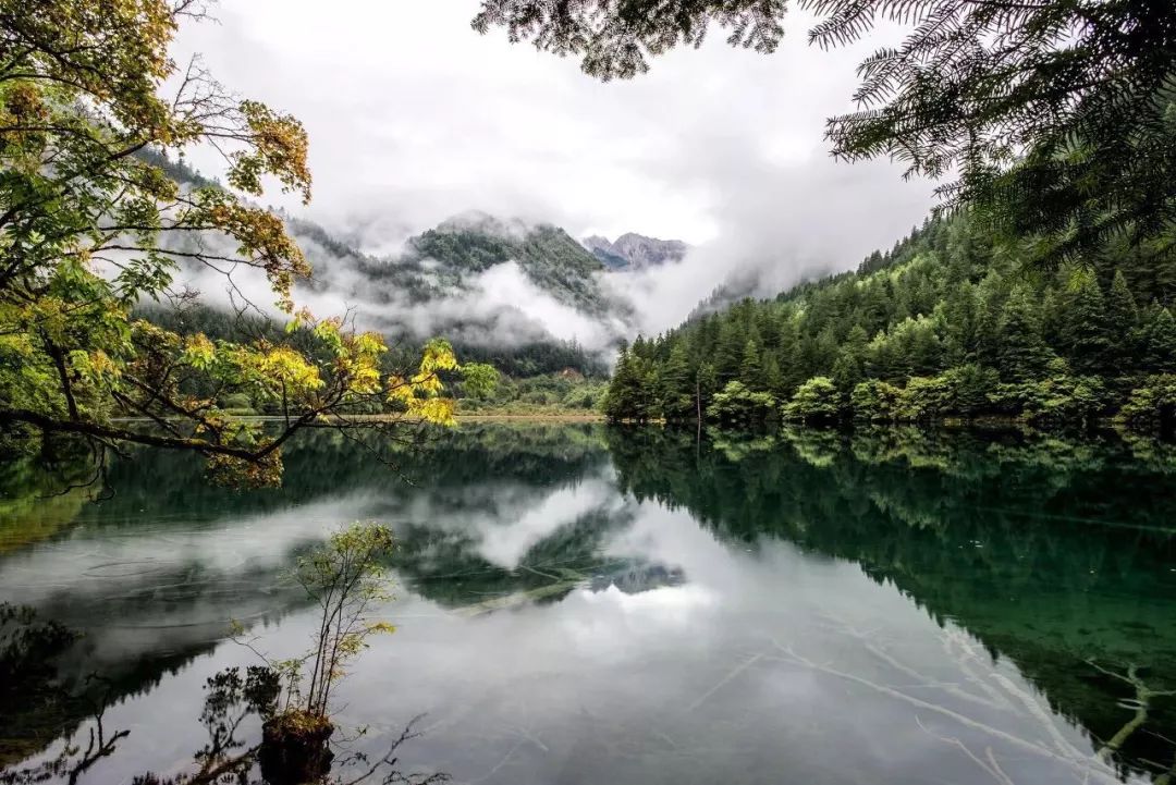 九寨沟景色恢复了吗,九寨沟震后重生