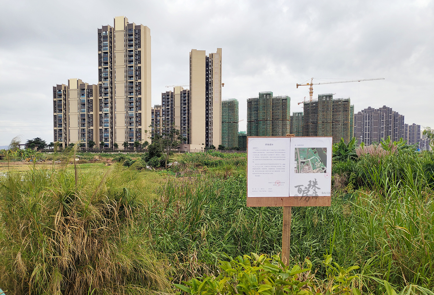 斗门白蕉镇博雅,珠海白蕉博雅中学现状