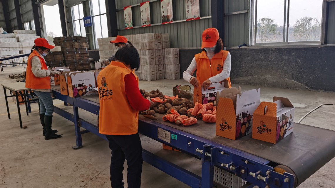 整户消亡承包地收回吗,集体收回承包地的流程