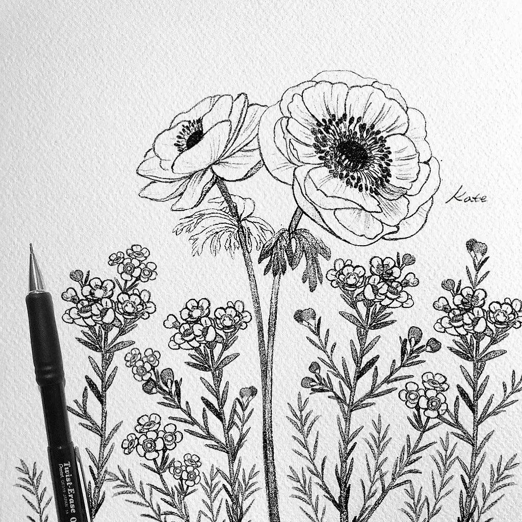 一分钟教你简单画花,简单的花卉图教程