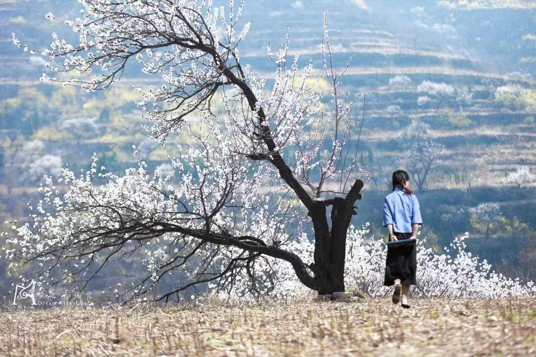 潍坊五一夜晚适合去哪里玩,潍坊海上明珠乐园五一活动