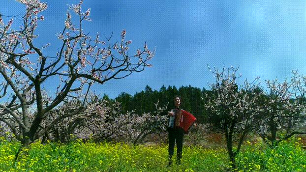 富春山居图惊艳片段,看懂富春山居图画