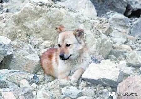 26张活久见的图片看完又涨知识了,42张照片大图