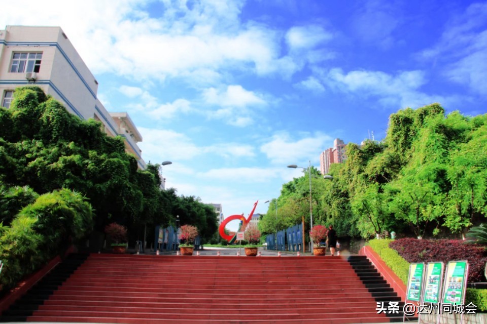 停课不停学一年级课程,停课不停学一周学习内容