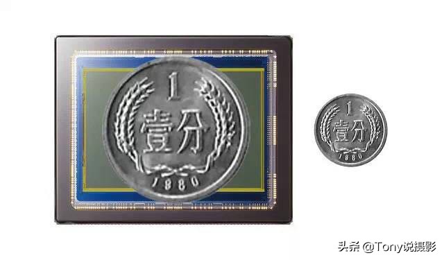 微距摄影怎样拍花,微距摄影怎么拍的