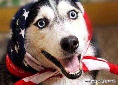 作为一个天秤男不想结婚,天秤男和天秤男在一起合适吗