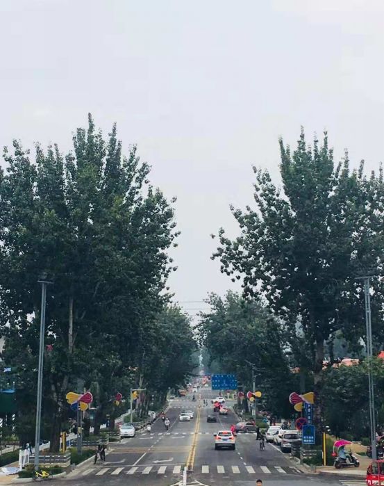 杨凌以后还有发展吗,杨凌未来十五天天气