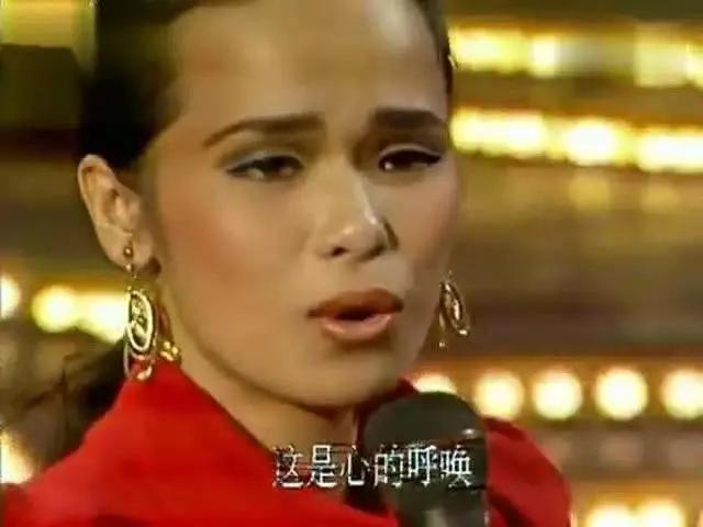 冬天里的一把火春晚,冬天里的一把火上过几次春晚