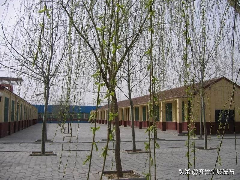 聊城二中历史,十年印象阿布