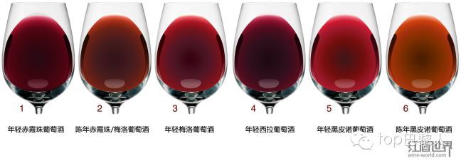 红酒辨别真假视频 (xo红酒怎样辨别真假)