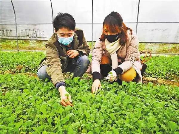 农资“一站式”到家!疫情下的春耕,他们还有哪些好办法?