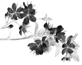 零基础瑜伽教练培训班招生中,万怡瑜伽