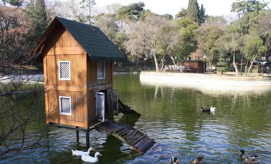 论一个人在无聊的时候都做些什么,无聊三件事