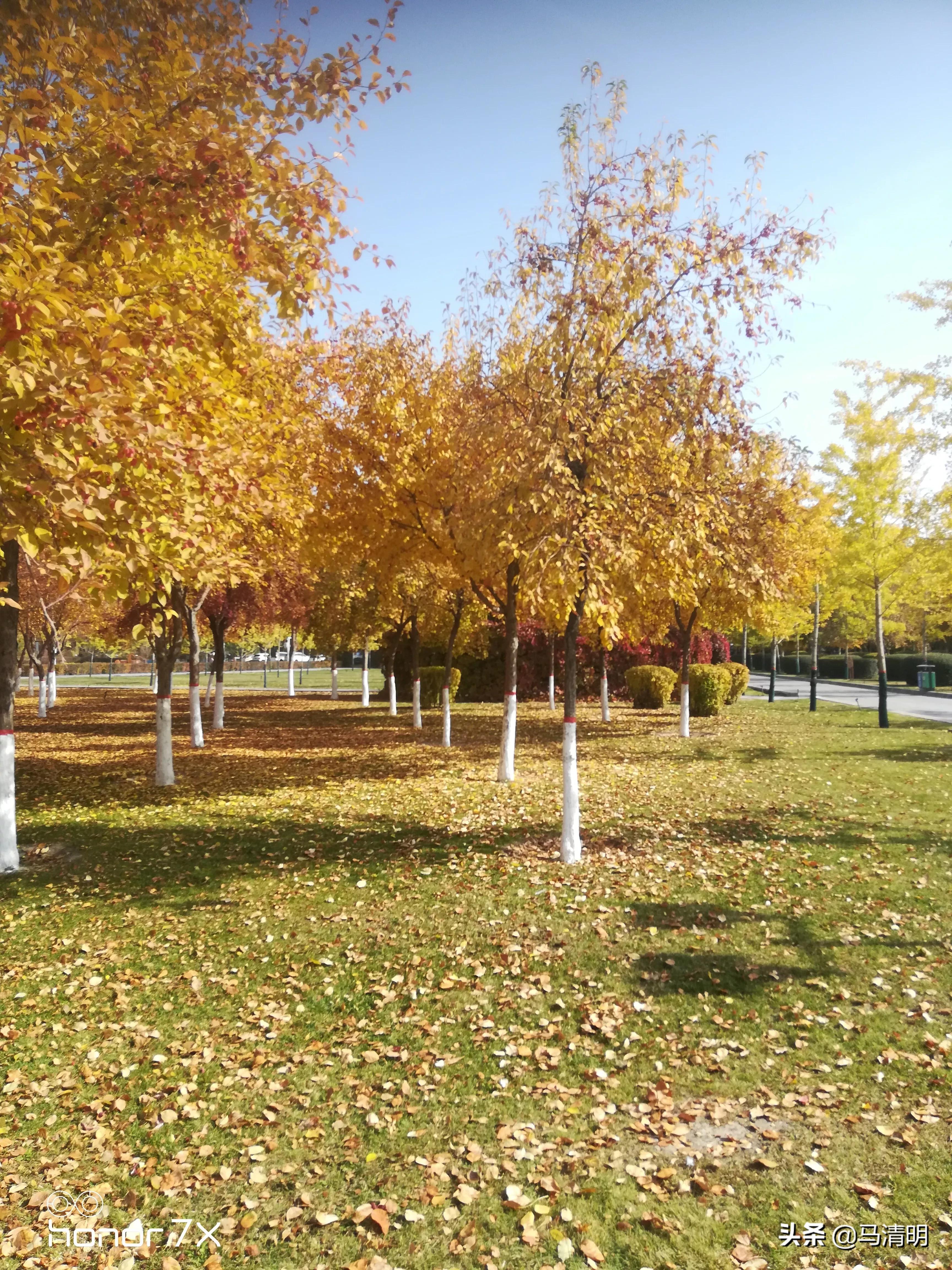 我眼中的石河子,我眼中的新疆石河子