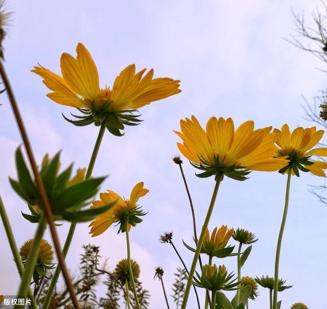 唐诗联句100篇,唐诗三百首优秀句段摘抄加赏析