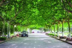 南师大马拉松开幕式,最美南师