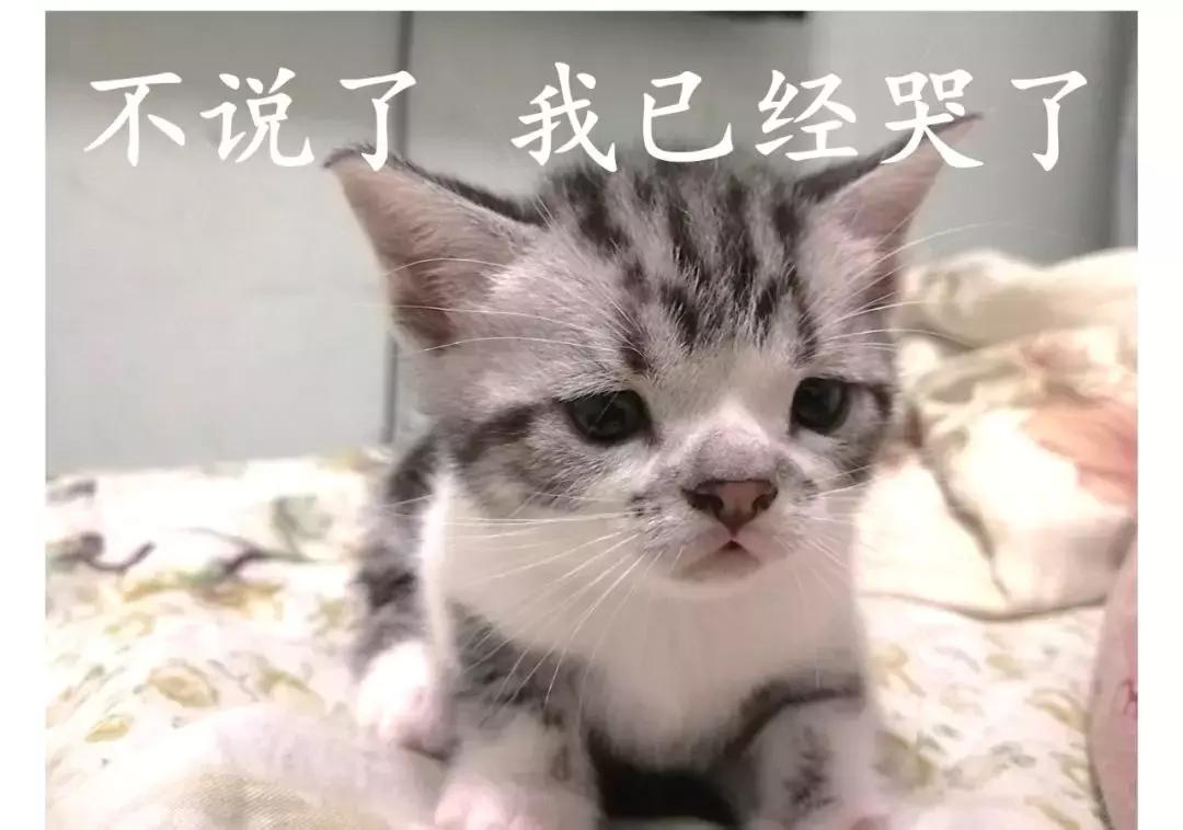 亲姐严重糖尿病，姐夫欠巨额赌债跑了，他们的小女儿才10岁，能过继到我名下抚养吗？