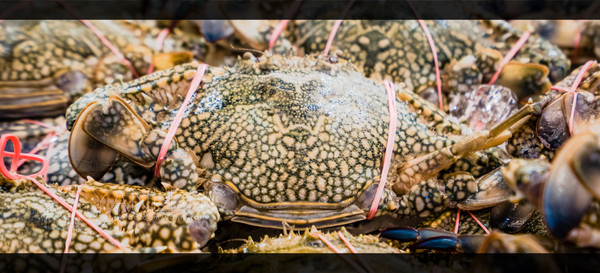 泰旅局发布2019年泰国旅游新玩法,曼谷漫游攻略